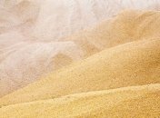 Украина существенно нарастила объемы экспорта зерна