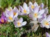 5 апреля. Приметы дня