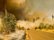 Потепление приводит к увеличению случаев лесных пожаров