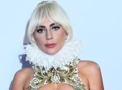 Леди Гага очаровала платьем цвета пыльной розы от Dior