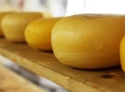 Диетологи опровергли популярный миф о сыре