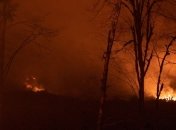 Поджигание сухостоя: Кабмин поддержал законопроект о поднятии штрафов