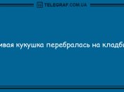 Утренний луч позитива: новая порция анекдотов подарит хорошее настроение