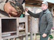 Владимир Плема: "Если бы не любил животных, то не брался бы за дело"