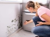 С помощью этих методов вы навсегда забудете о плесени