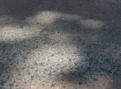 Одесскую судью облили зеленкой