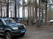 Полиция прислала на Волынь подкрепление из-за "янтарных войн"