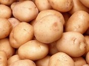 По данным ГФС, больше всего украинского картофеля купила Беларусь