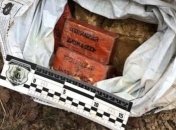 Протитанкові гранатомети, тротил: на Херсонщині знайшли збройну схованку