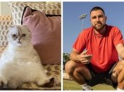 Кошка Тейлор Свифт и Трэвис Келси