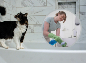 Для миття ванни господині використовують різні способи і засоби, ми ж знайшли найпростіший