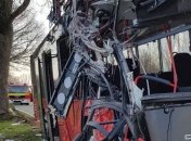 Автобус со школьниками в Германии протаранил дерево