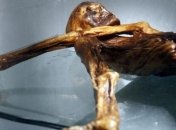 Представлена трехмерная модель мумии ледяного человека Эци