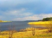 На Рівненщині у національному природному парку вигоріло 290 га земель