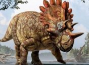 Палеонтологи рассказали о новом виде динозавров