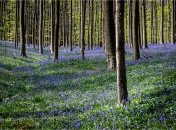 Какой сегодня церковный праздник - День Гликерии Ираклийской