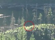 В Канаде удалось заснять Снежного человека (Видео)