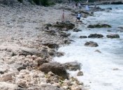 В Алупке продолжают борьбу за санаторий 