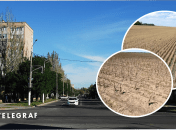 У Мелітополі не має врожаю на полях