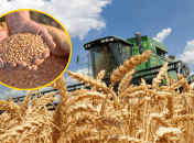 Какая ситуация со сбором урожая в 2025 году