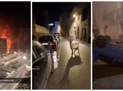 Протесты во Франции