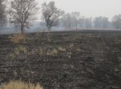 Площадь торфяных пожаров в Полтавской области уменьшилась почти до 110 га