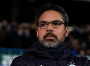 Экс-тренер Хаддерсфилда возглавит Шальке Коноплянки