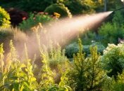 Натуральные средства против вредителей