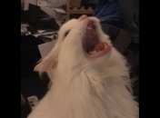 Все валитиметься з рук: для яких знаків Зодіаку цей тиждень стане дуже складним