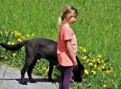 В Украине ожидается солнечная погода, местами облачная и дождливая