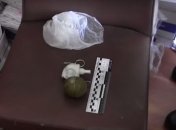 Оперативное видео с подозреваемым в броске гранаты под Радой (Видео)