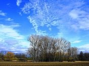 Температурные "качели" и дождь: какой будет погода в последние дни зимы