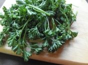 Чем петрушка полезна для здоровья?