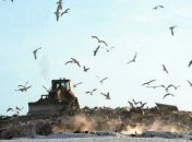 Из свалки сделают природный заповедник