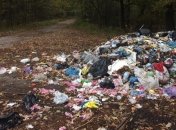 Львовский мусор перенесли в Волынский лес
