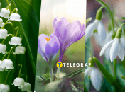 Весняні квіти