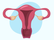 Матка влияет на умственные способности: новое исследование ученых