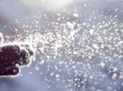 Сегодня Украину "заметет" снегом