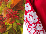 Калина і вишиванка