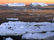 США отказались от бурения шельфов в Арктике