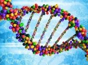 Раскрыт весь механизм размножения ДНК в клетках