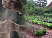 Мука может пригодиться не только на кухне, но и на огороде