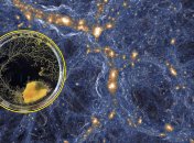 Ученые придумали, как определить форму Космической паутины: помогло загадочное простейшее существо