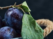 У сливах, вишнях та інших плодах більше не буде неприємних сюрпризів