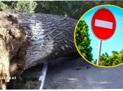 Неприятный инцидент в столице