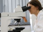 Ученые: Черви могут воссоздать модель IQ человека