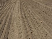 В Тернополе проверяют законность предоставления земли