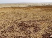 В МинВОТ заявили, что в эвакуации населения Херсонщины нет потребности
