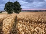 В этом году доходы владельцев паев вырастут вдвое