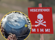 Пройдут ими дистанционно